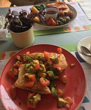 Vegan avocado brunch and vegan breakfast at Torino Lounge in Bicester