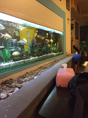 Poor fishes at Luna's Kitchen in Beirut