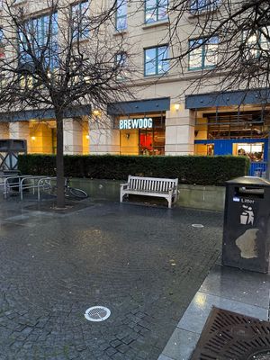 Wet at BrewDog - Lothian Rd in Edinburgh