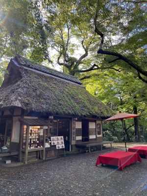   at Mizuya Chaya 水谷茶屋 in Nara