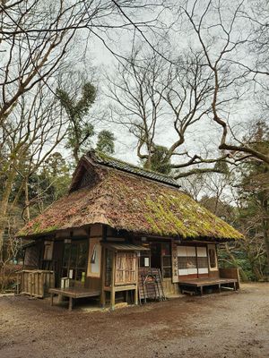  at Mizuya Chaya 水谷茶屋 in Nara
