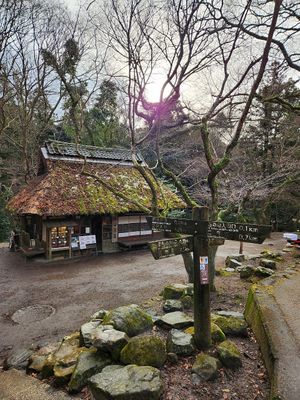  at Mizuya Chaya 水谷茶屋 in Nara