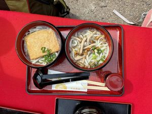 Fried tofu and mushroom udon noodles  at Mizuya Chaya 水谷茶屋 in Nara