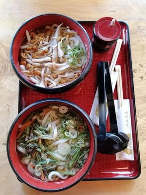Mushroom and Wild vegetables options at Mizuya Chaya 水谷茶屋 in Nara