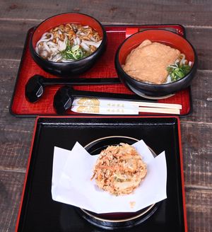 Mushroom udon, fried tofu udon, vegetable tempura side   at Mizuya Chaya 水谷茶屋 in Nara