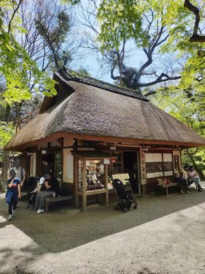 Outside at Mizuya Chaya 水谷茶屋 in Nara