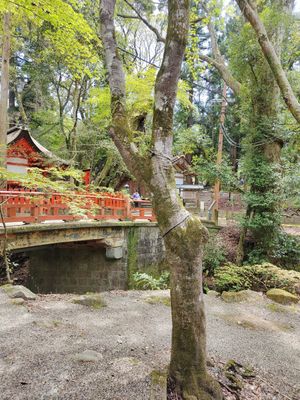 View from outside seating area at Mizuya Chaya 水谷茶屋 in Nara