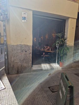  at Plantate Cafe in Madrid