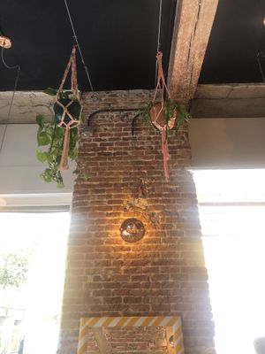 Interior at Plantate Cafe in Madrid