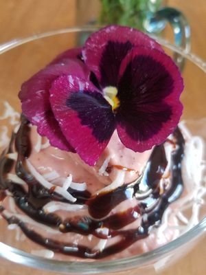Raw Vegan Strawberry Icecream at Kawsaytika in Calca