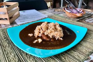 Special seasonal tamal with mole sauce and rice at La Garnacheria Vegana in Cuernavaca