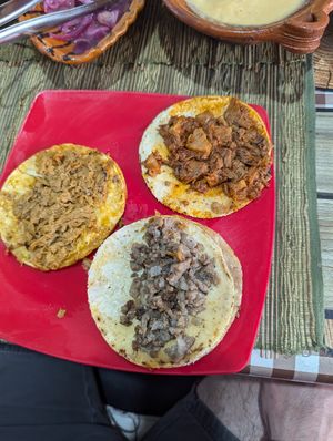  at La Garnacheria Vegana in Cuernavaca