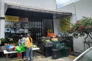 Tuesday market 🌿 almost sold out at Punto De Origen in Cuernavaca