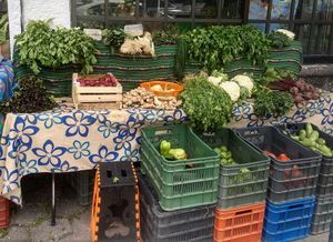 Local and organic - the greens a bit wilted after noon at Punto De Origen in Cuernavaca