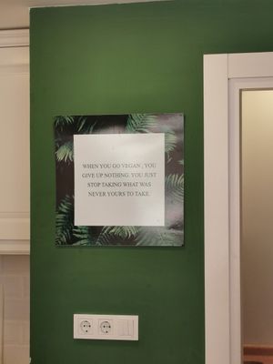 Go Vegan at Vegan a la Turca in Bodrum