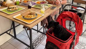   at Vegan a la Turca in Bodrum