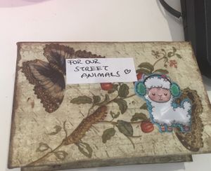 They take the street animals to the vet and your donations help  at Vegan a la Turca in Bodrum