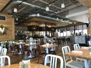 True Food Kitchen (The Woodlands) interior dining room. at True Food Kitchen in The Woodlands