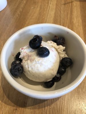 Vanilla vegan ice cream  at True Food Kitchen in The Woodlands
