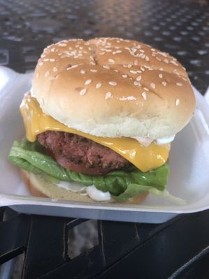 Vegan Beyond Burger!  at DeVine Delights in Rapid City