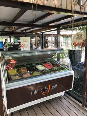 Vegan ice cream. at Mini Cafe Golf in Ljubljana