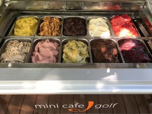 Vegan ice cream. at Mini Cafe Golf in Ljubljana