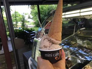 Hazelnut gelato  at Mini Cafe Golf in Ljubljana