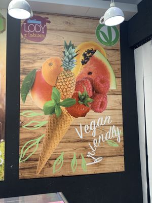 vegan at Lody z Lodziarni - Delikatesy Smaki Polski in Krakow