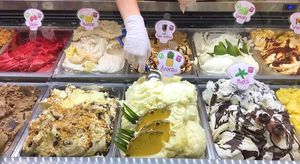 clearly marked vegan options at Lody z Lodziarni - Delikatesy Smaki Polski in Krakow