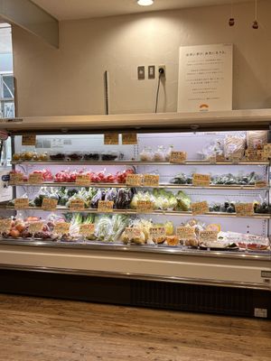   at Natural Harmony Coa in Yokohama