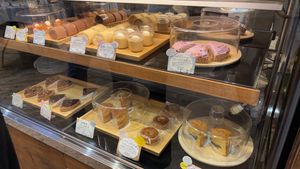   at Natural Harmony Coa in Yokohama