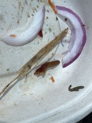 Valentina salad had a piece of straw and a little bit of meat in it    at Mother's Kitchen - Coffee Matters in Bar Harbor