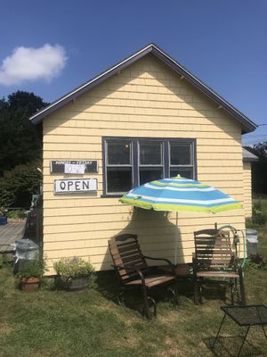 Open 10-2 at Mother's Kitchen - Coffee Matters in Bar Harbor