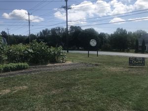 PYO sunflowers & small road sign at Mother's Kitchen - Coffee Matters in Bar Harbor