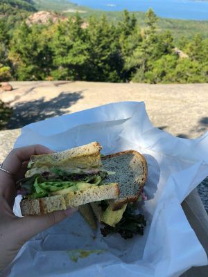 Tempeh sandwich at Mother's Kitchen - Coffee Matters in Bar Harbor