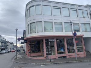 The cat café   at Kattakaffihusid in Reykjavik