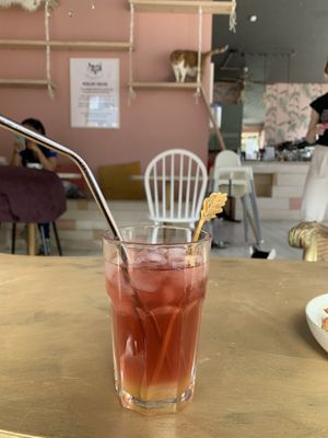 Nala ice tea  at Kattakaffihusid in Reykjavik