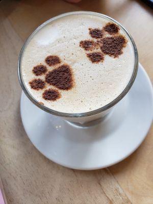 Chai latte at Kattakaffihusid in Reykjavik