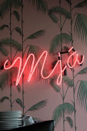 Decor. at Kattakaffihusid in Reykjavik