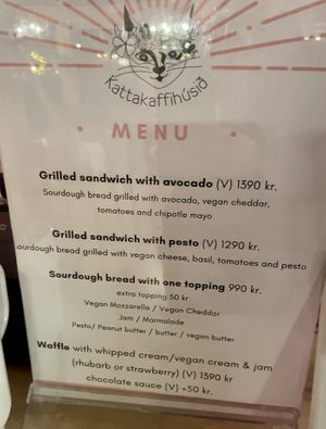Menu  at Kattakaffihusid in Reykjavik