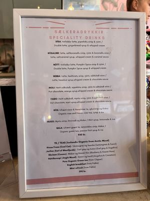  #Veganuary at Kattakaffihusid in Reykjavik