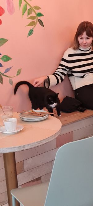  at Kattakaffihusid in Reykjavik