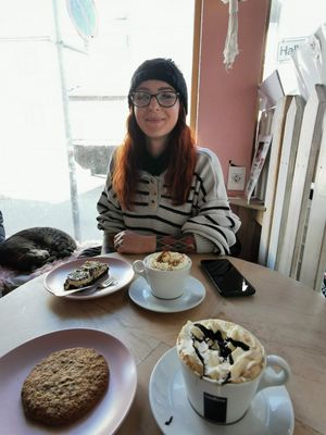  at Kattakaffihusid in Reykjavik