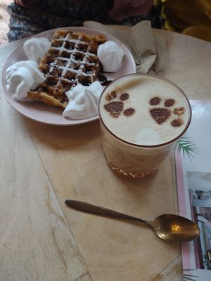  at Kattakaffihusid in Reykjavik