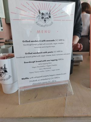  at Kattakaffihusid in Reykjavik