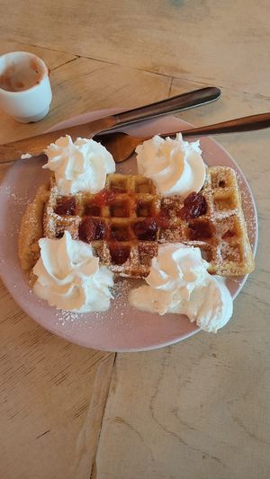  at Kattakaffihusid in Reykjavik