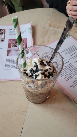  at Kattakaffihusid in Reykjavik