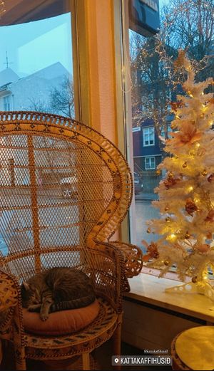  at Kattakaffihusid in Reykjavik