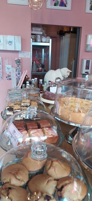 Lili e i dolci at Kattakaffihusid in Reykjavik