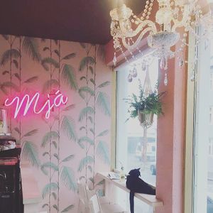 Mjá at Kattakaffihusid in Reykjavik